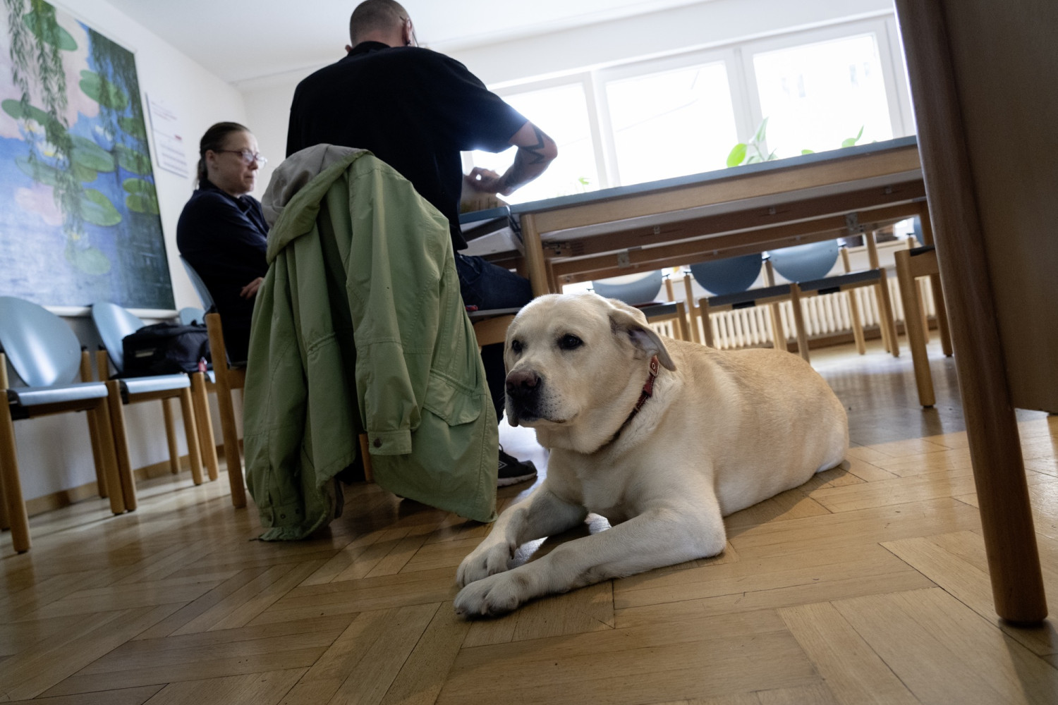**Hobby-Hausmeister:in** 
für das Aufnahmehaus